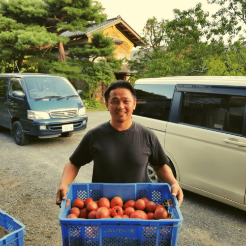 近隣の農家さんから新鮮なトマトが到着｜一ツ橋進学塾勉強合宿